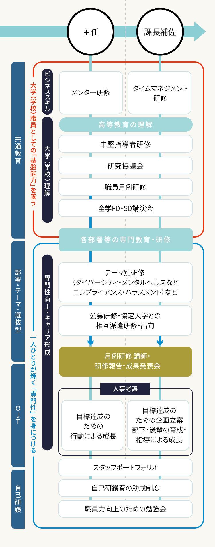 教育・研修体系図